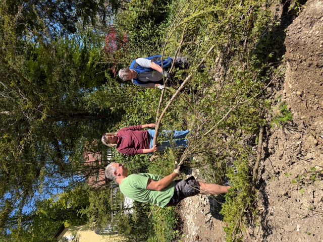 Gartenpflegetag 2026-04-25