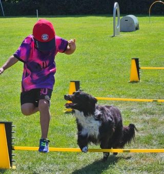 Projekte | Ferienprogramm | Hunde-Einmaleins